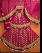 Stylish Embroidered Lehenga - Image 2